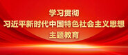 欧美老年操逼学习贯彻习近平新时代中国特色社会主义思想主题教育_fororder_ad-371X160(2)